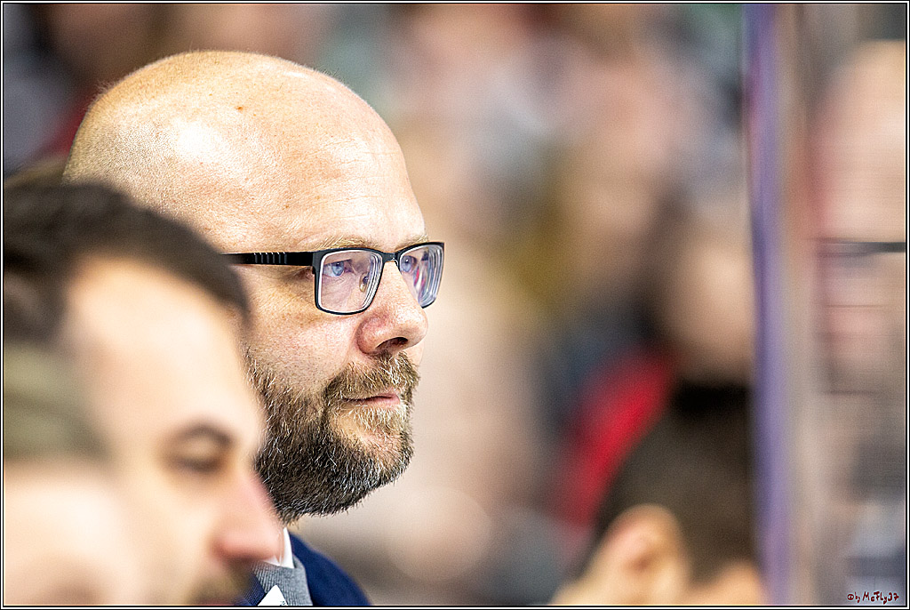 DEL; Koelner Haie - Straubing Tigers; Koeln, 17.11.2019